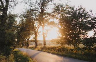 Nasz Dębowiec - dom dla 15 osób, sauna, widok na staw, wielka działka - Photo 67