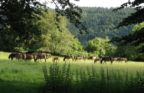 Dairy Cottage Dulverton - Foto 40