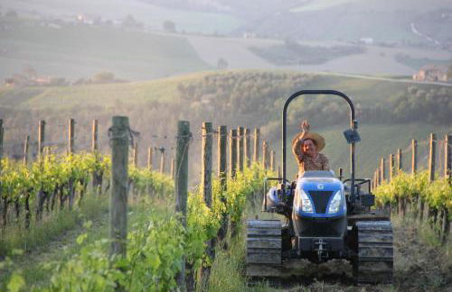 Agriturismo San Michele - Foto 63