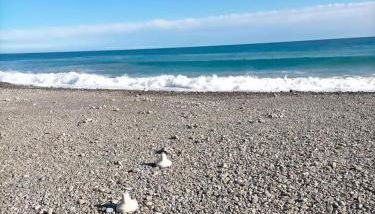 Splendido Attico - Foto 5