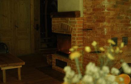 Biały Las Magiczna Stara Chata Puszcza Białowieska - Foto 12