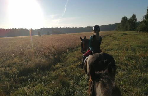 Weidmannsruh - große Ferienwohnung mit 3 Schlafzimmern - Foto 14