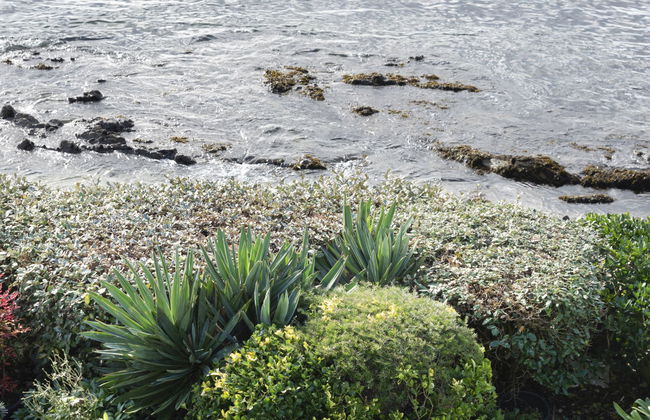 Plein Océan - Foto 17