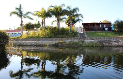 Herdade do Sardanito da Frente - Foto 36