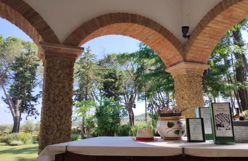 Marrucheto - Foto 34