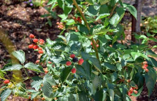 Holiday Home J-Adria - Foto 29