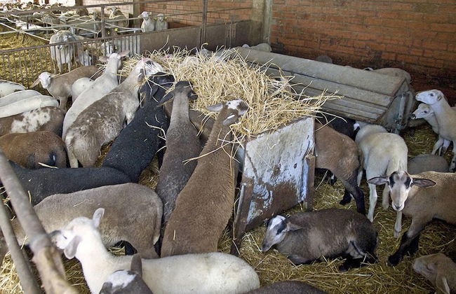 Apartament les Terrassetes - Foto 14