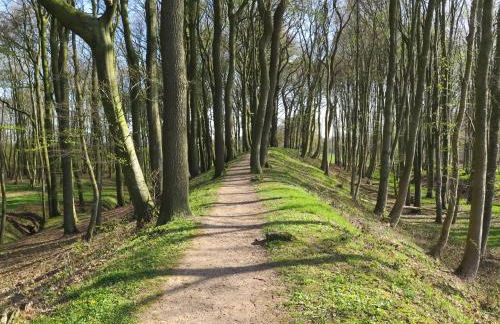 Ferienwohnungen am Danewerk - Foto 22