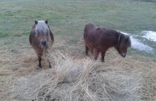 eco nature, gite à la ferme - Foto 36