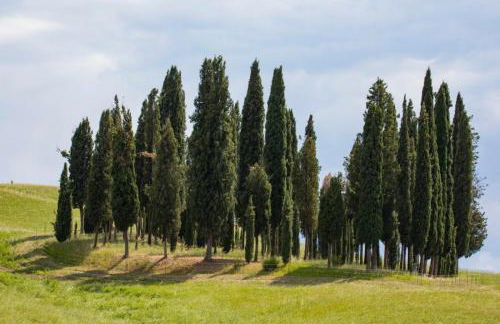 Agriturismo La Poderina - Foto 24