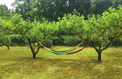 Casa Rural Barangua en el Pirineo Aragonés - Foto 34