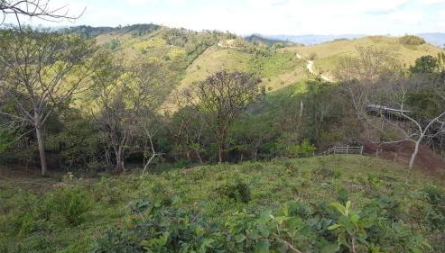 Eskolazaharra - Foto 2