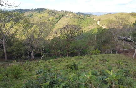 Eskolazaharra - Foto 2