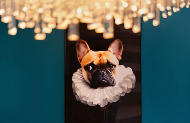 Urban Design Suites - Foto 55