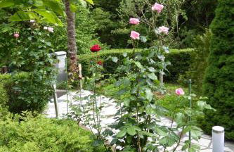 Apartment Zelena Oaza - Foto 24