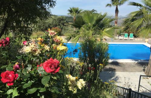 La Casita, Zagra - Foto 5