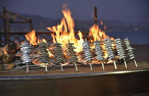 Apartamento en Magnifico Resort - Parque Botanico - Photo 47