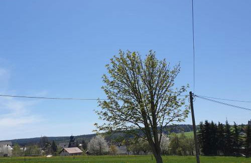 Ferienhaus Polly - Keine Monteure - Foto 17