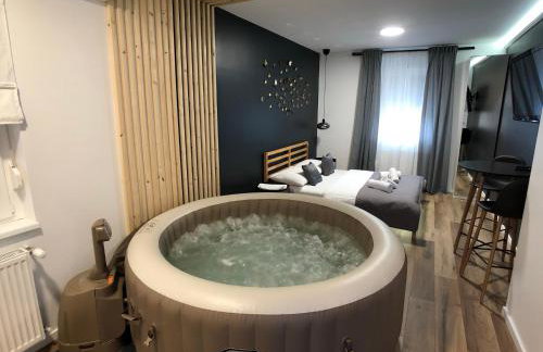 Apartment Zagreb Jacuzzi - Photo 44