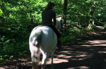 Hoheluft am Wittensee Apt 3 - Foto 19