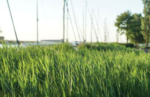 Holiday Home mit Garten- Grill und Terrasse by Interhome - Foto 78