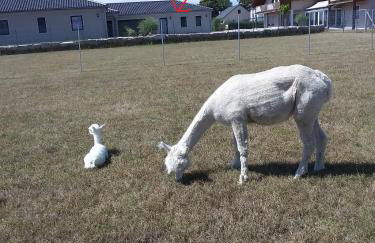 Auszeit-Räumlichkeiten - Foto 16