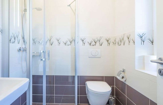 Basstölpel - Foto 12