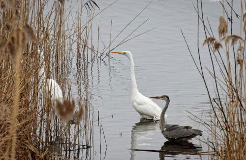 Ferienhaus Biberburg - Foto 15
