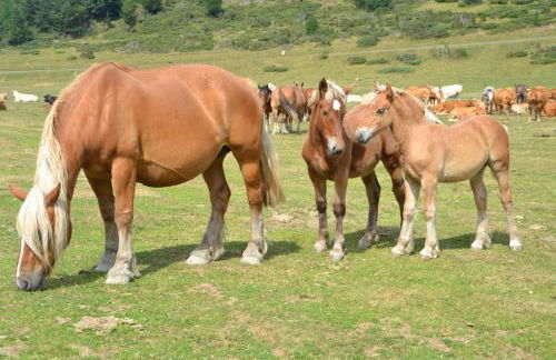 Maison Marguerite - Photo 44