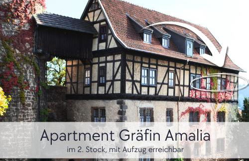 Amalias Burgwohnung - stilvolles Apartment mit Aufzug & Garten in der Hinterburg Schlitz - 2 Schlafzimmer, Parkplatz, Historisches Flair für Paare & Ruhesuchende - Foto 9