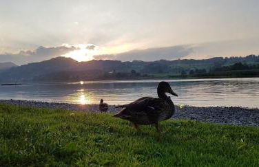 Allgäu Apartment Kempten - Foto 13