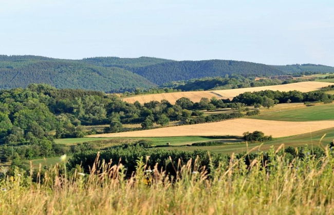 Bungalow in Eifel Near Forest and Mountains - Foto 34
