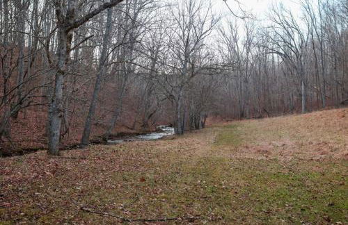 Mountain Lodge - Heated Pool 83 Degrees - Photo 45
