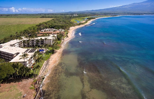 Maalaea Kai 215 1 Bedroom Condo - Foto 42