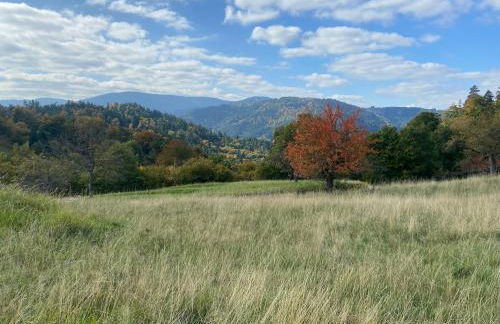 Ferienwohnung Kräutergarten - Foto 24