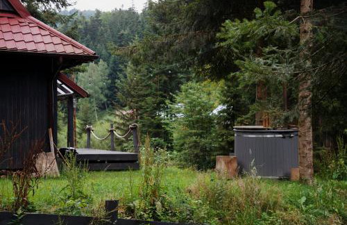 Piwniczna 187 - Vintage House - Foto 43