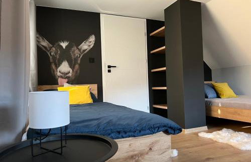 Dablin 9 - Dom w górach z gorącą balią, blisko szlaków i wyciągów - Foto 20