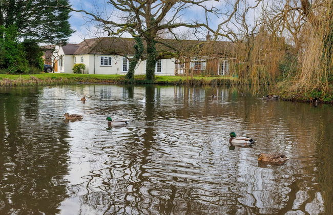 Beautiful 4-bed Close to South Downs Goodwood - Foto 5