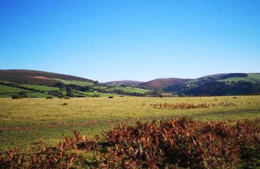 Pen-Rhos luxury glamping "Cuckoo's Nest" - Photo 9