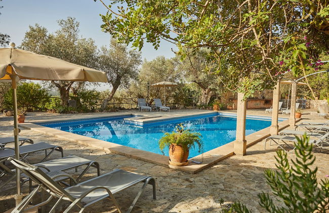 Agritourismo Alquería Blanca - Foto 53