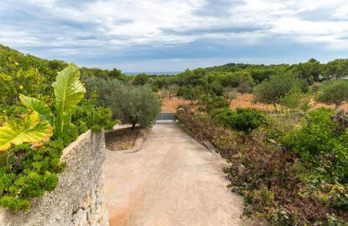 Holiday Home Can Pep Jaume by Interhome - Foto 68