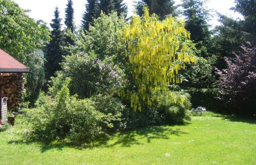 Ferienwohnung Söllner - Foto 16