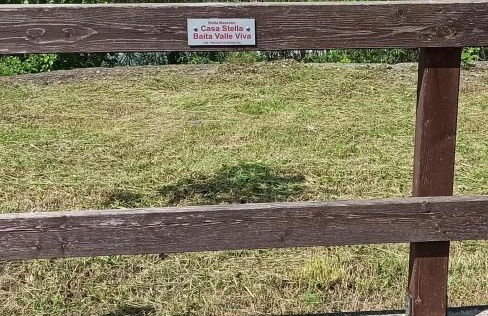 Casa Stella Baita Valle Viva - Photo 44