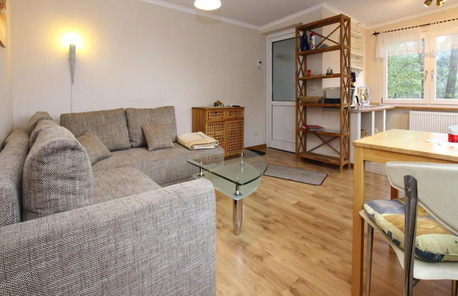 Ferienhaus in der Feldberger Seenlandschaft - Foto 4