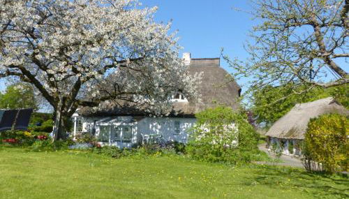 Ferienwohungen im Feriengarten DG - Foto 5