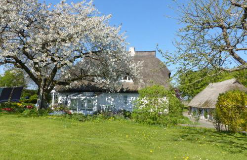 Ferienwohungen im Feriengarten DG - Foto 5