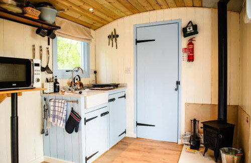 Cosy Shepherd's Hut with Hot Tub - Foto 3