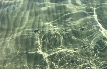 Punta Ala - Tra mare e natura - Foto 31