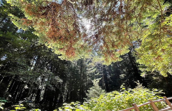 Ocean Front Cabin 16 Jacuzzi Incredible Views - Foto 45