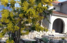 Apartman Ivona - Photo 38